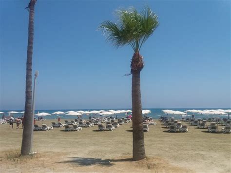 Finikoudes Beach (Larnaca) - 2020 All You Need to Know BEFORE You Go ...