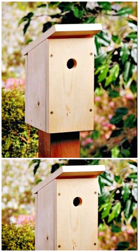 Easy And Cool DIY Birdhouse Ideas - DIYCraftsGuru