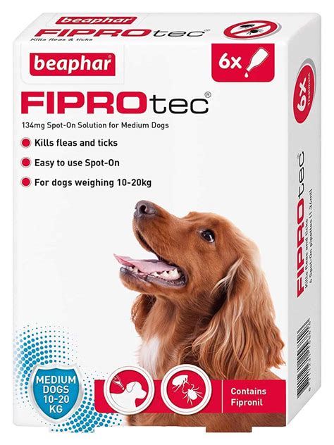 Best Dog Flea Treatment: Dog Flea Treatment Reviews (UK)