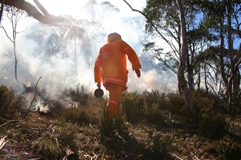 AUSTRALIA FIRE-STICK FARMING - International Association of Wildland Fire