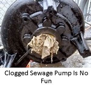 Grinder Pumps vs Sewage Pumps Which One And Why?