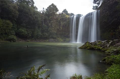 Whangarei Falls | Waterfall, Nature, Landscape