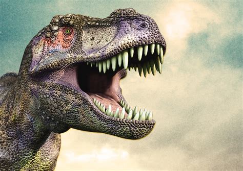 T Rex Dinosaur Wallpaper Hd - 3508x2480 Wallpaper - teahub.io