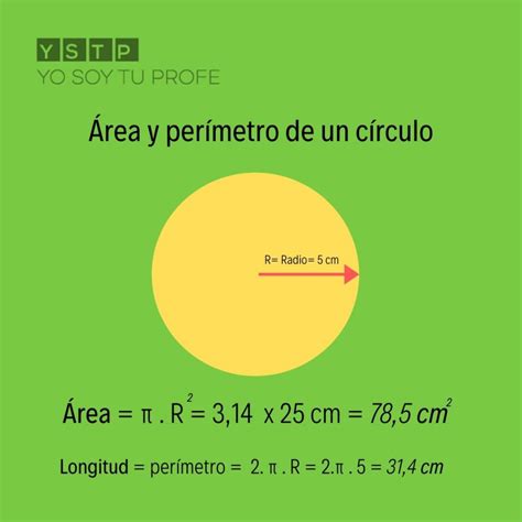 Completo Perjudicial No puedo leer ni escribir como hallar el area y el ...