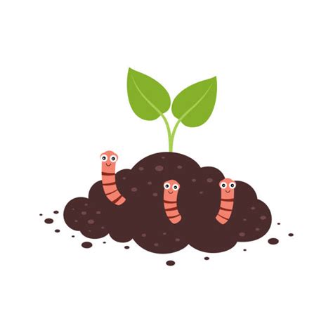 Earthworm Farm Illustrations, Royalty-Free Vector Graphics & Clip Art ...