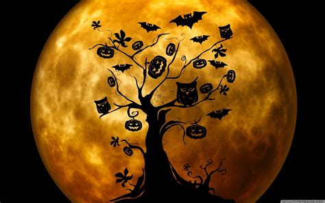 Halloween Owl Wallpapers - Wallpaper Cave