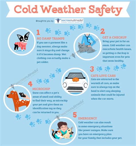 10 Cold Weather Pet Safety Tips | Combs Veterinary Clinic