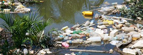 Plastic Pollution | Saving Earth | Encyclopedia Britannica