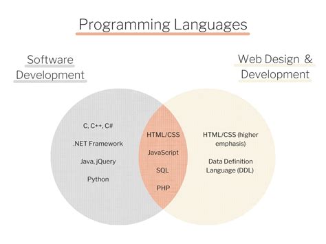 ABM College: Web Dev vs. Software Dev: Know the Difference