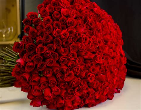 300 red roses bouquet in Miami , FL | Luxury Flowers Miami