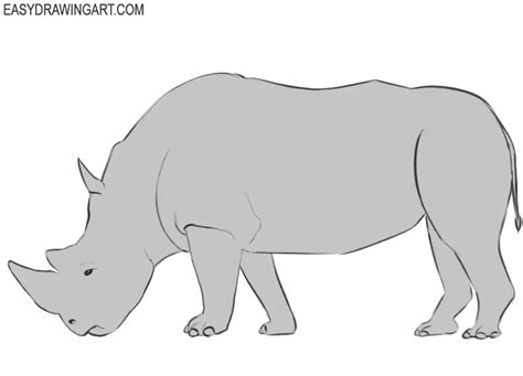 How to Draw a Rhinoceros - Easy Drawing Art