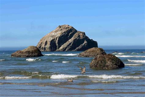 Top Things to Do in Bandon, Oregon