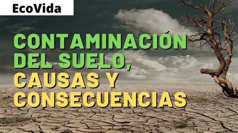 CONTAMINACIÓN del SUELO (CAUSAS, CONSECUENCIAS y SOLUCIONES) - YouTube