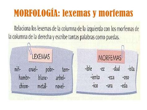 Morfología practica examen | Teacher resources, Spanish activities ...