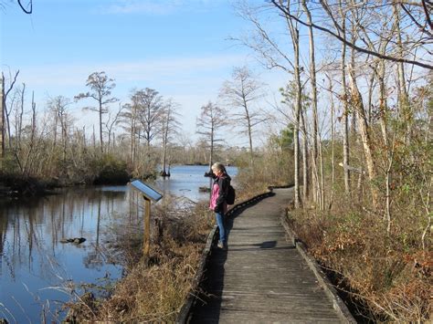 Pocosin Lakes National Wildlife Refuge – Dirona Around the World