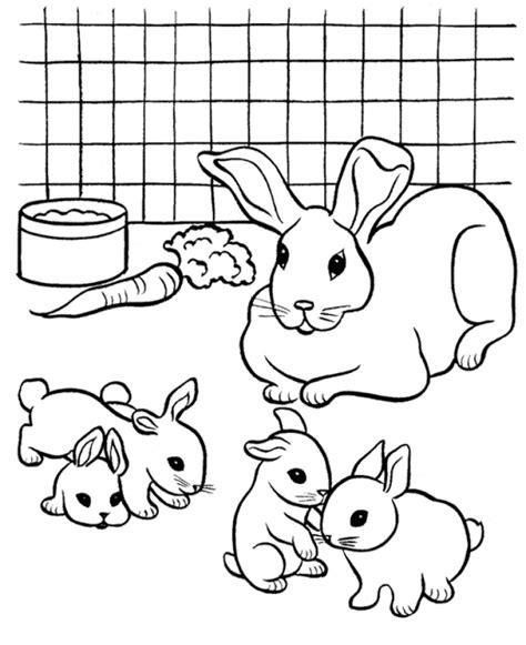 coloring pages of bunny pictures coloring - free rabbit coloring pages ...