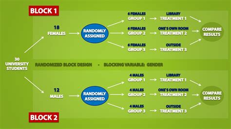 Experimental Design Diagram Example - Hanenhuusholli