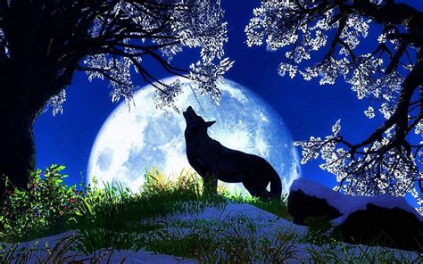 Wolf Howling At The Moon Wallpapers HD - www.Wolf-Wallpapers.pro