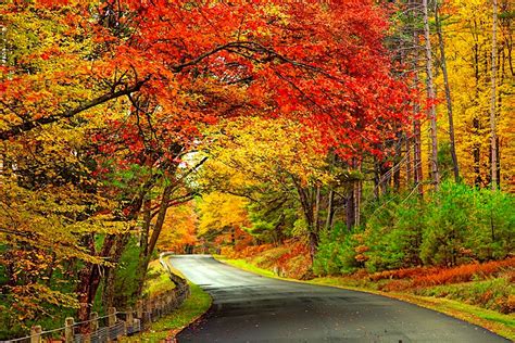 The ultimate New England fall foliage road trip - Lonely Planet