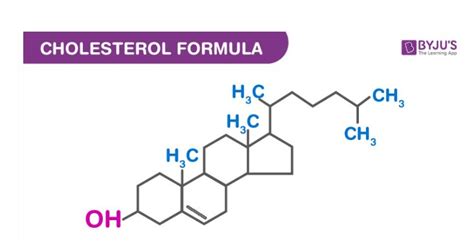 Cholesterol Formula - Structure And Properties Of Cholesterol