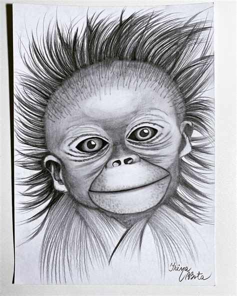 Monkey pencil drawing | Monkey drawing, Creative drawing, Face drawing