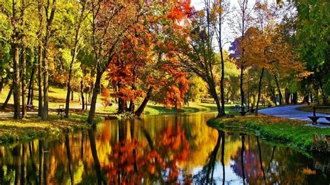 Autumn Trees Reflected in River - Image Abyss