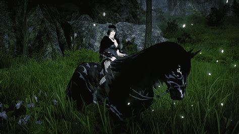 Black Desert Online - Tier 9 & Tier 10 Horse Awakening Guide