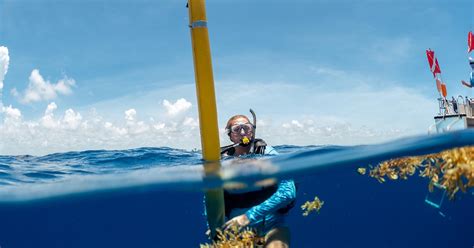 Boynton Beach Weather and Tides - Water Temps - Starfish Scuba ...