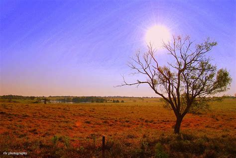 Hot Texas Summer Day Photograph by Regina Vasquez - Fine Art America