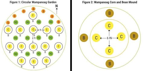 Three Sisters Companion Planting Method - Organic Gardening Blog ...