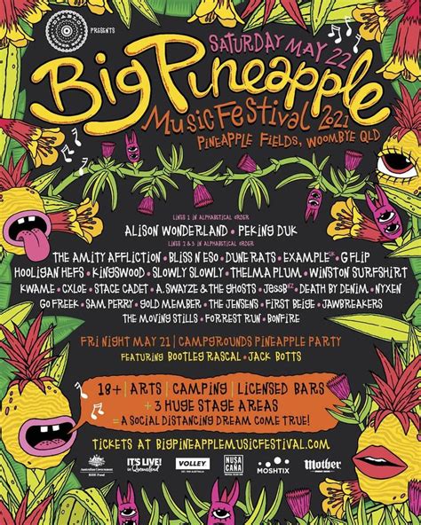 Big Pineapple Music Festival on Instagram: “Here it is Pineys 🍍, the ...