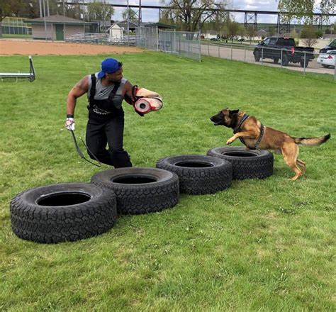 Working Dogs Training Demonstration Held In Valley City | News Dakota