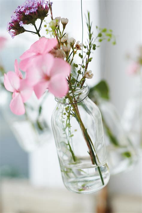 Free photo: Fresh Flowers - Bloom, Blooming, Flower - Free Download ...