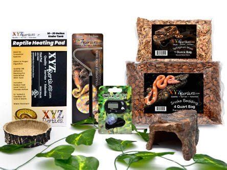 Snake Habitat For Sale | Buy The Perfect Snake Starter Kit At XYZReptiles