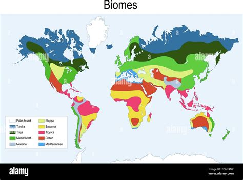 Map of mediterranean biome Cut Out Stock Images & Pictures - Alamy