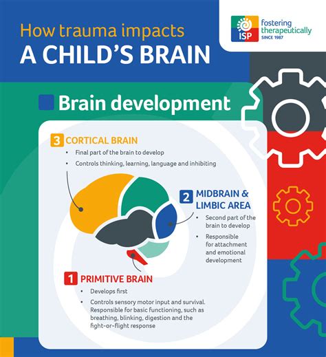 How Trauma Affects Child Brain Development | ISP Fostering