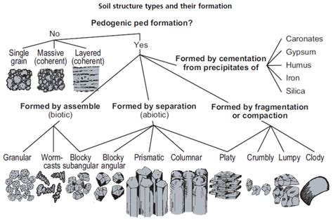 Pedal soils | OpenScholar