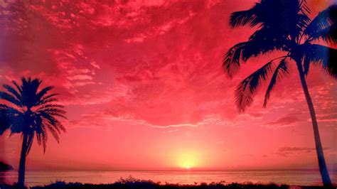 South Pacific Sunset - Free Nature Pictures