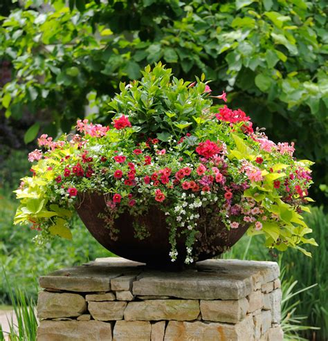 The Advantages of Container Gardening - Dengarden