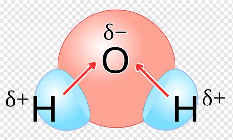 Polaridad química molécula de agua kekutuban química, agua, texto, logo ...