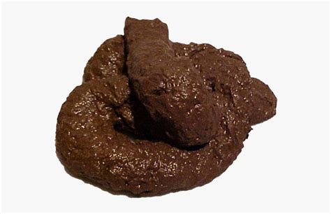 Poop Png - Real Pile Of Poo, Transparent Png - kindpng