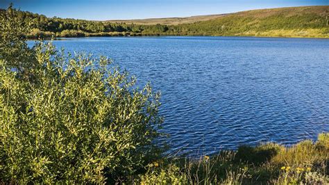 Fish Lake Campground, Steens Mountain Cooperative Management ...