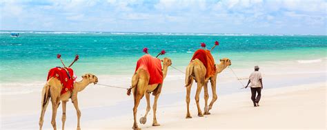 Where to Go for a Kenya Beach Holiday | Go2Africa