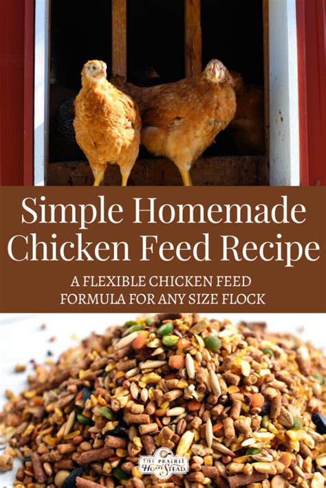 Homemade Chicken Feed Recipe • The Prairie Homestead