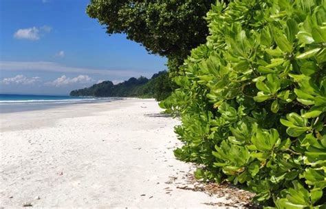 Best things to do in Andaman and Nicobar Islands - Tripoto