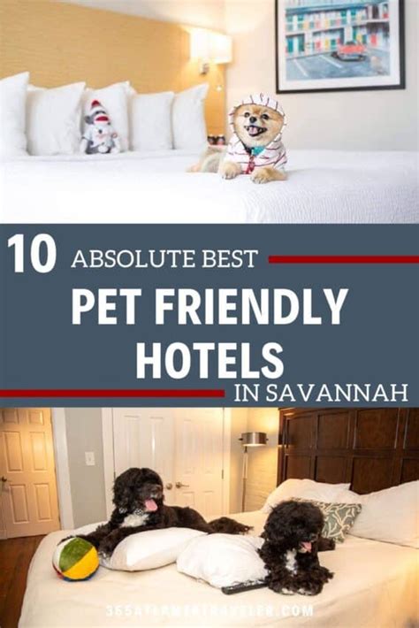 10 'Paw-some' Pet Friendly Hotels Savannah GA Offers for Your Next Vacation