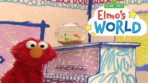 Elmo's World Theme Song & Episodes Chat