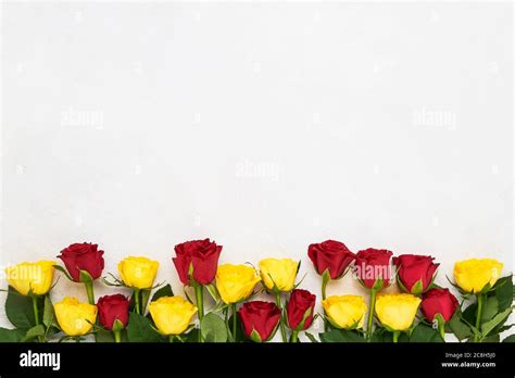 Red and yellow roses border on light background. Mothers day ...