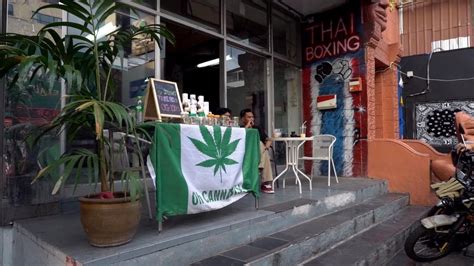 Focus - The rise of weed tourism: Is Thailand turning into the ...