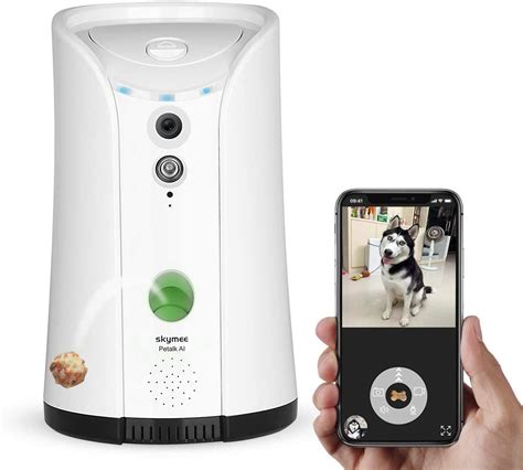 The 9 Best Pet Cameras to Monitor Your Pet's Behavior